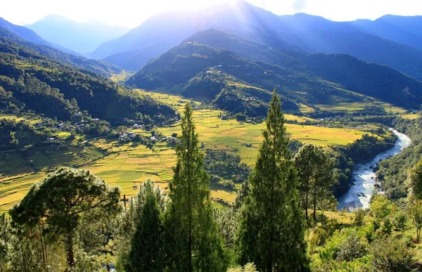 Hermoso Paisaje Montañas Campos Boscosos Día Soleado Bután — Foto de Stock