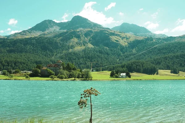 Une Vue Aérienne Magnifique Lac Turquoise Silvaplana Avec Des Forêts — Photo