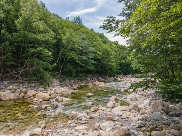 Uma Bela Vista Córrego Que Flui Através Das Pedras Floresta — Fotografia de Stock