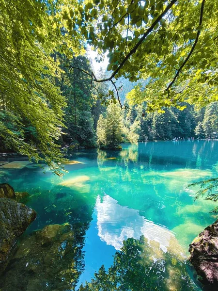 Вертикальный Снимок Волшебного Озера Блаузи Пышном Лесу Швейцарии — стоковое фото