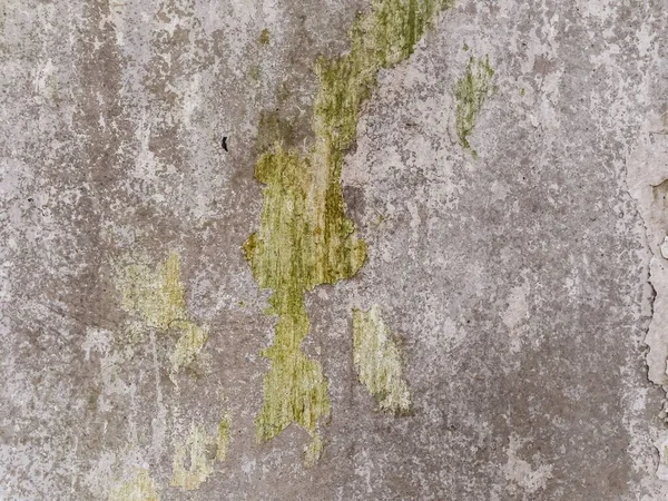 Ткань Формовочной Стены — стоковое фото