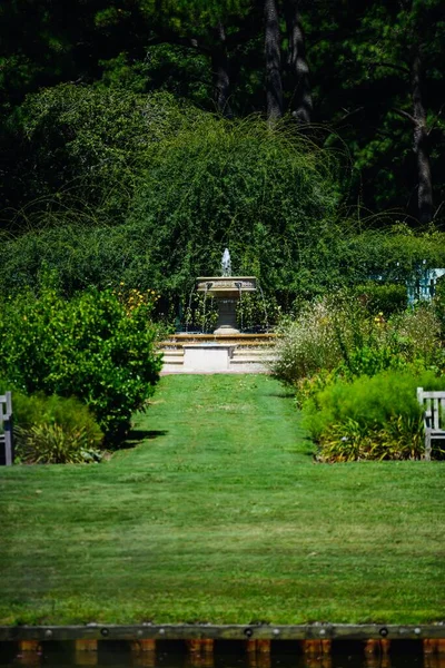 Botanical Garden Fountain Surrounded Dense Trees — Stock Photo, Image