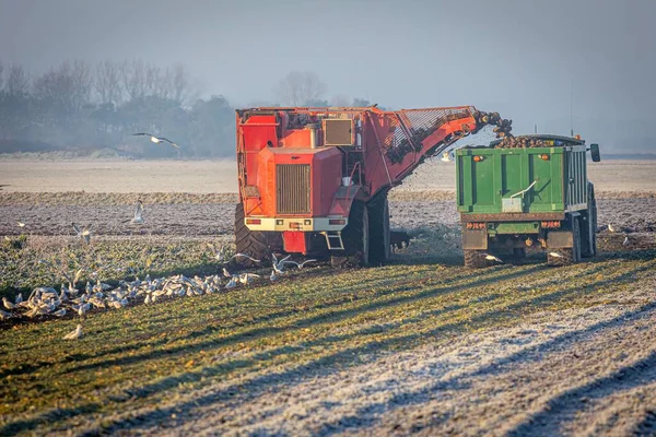 Sisli Bir Günde Tarlada Hasat Yapan Tarım Traktörlerinin Manzarası — Stok fotoğraf