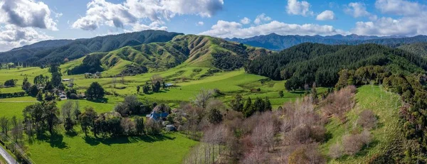 Сельский Пейзаж Фоне Тараруа Новой Зеландии — стоковое фото