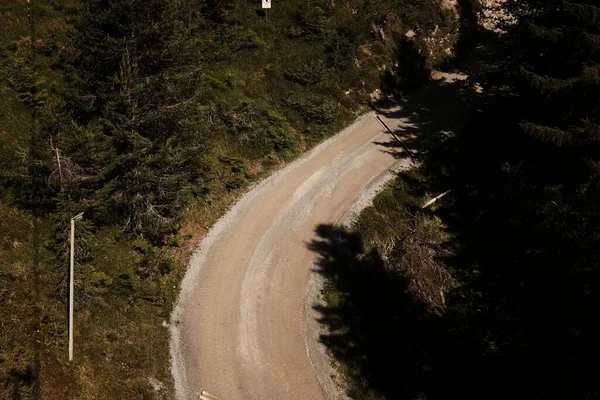 Une Route Campagne Travers Forêt Entourée Arbres Verts Alpes Autriche — Photo