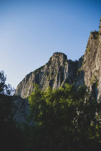 Вертикальный Снимок Высоких Скал Леса Ясным Голубым Небом Софии Болгария — стоковое фото