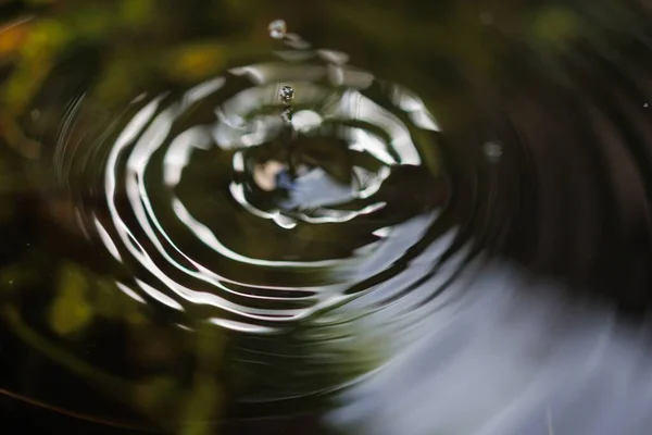 Ein Wassertropfen Der Einer Teichoberfläche Planscht — Stockfoto