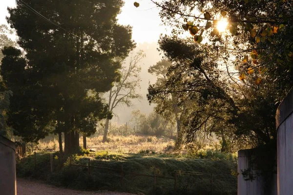 Sol Nascente Portugal Rural — Fotografia de Stock