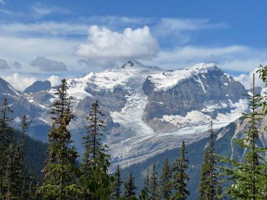 Güzel bir çam ağacı manzarası ve mavi bulutlu gökyüzünün altında karla kaplı bir dağ..