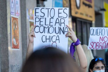 Bu bir kız posteri gibi acıtıyor: Sosyal Hareketler ve Çok Partili Koalisyonlar. Ciudad Autonoma De Buenos Aires