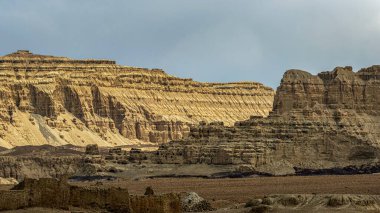 Zanda County, Tibet, Çin 'deki Dünya ormanlarının güzel manzarası..