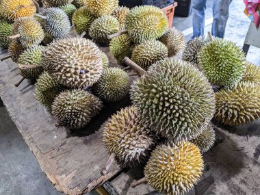 Sabah pazarında taze Durian 'ların yakın çekimi.