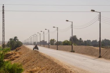 Mısır, Luxor 'da uzun ve boş bir yolda bir eşek arabası manzarası
