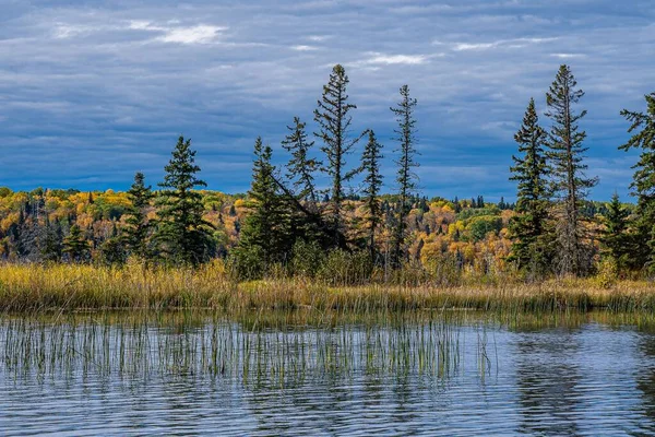 Krásná Scenérie Národního Parku Prince Albert Saskatchewan Kanada — Stock fotografie
