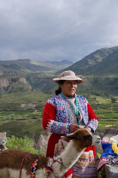 秘鲁库斯科 一个身披羊驼的女人的垂直照片 — 图库照片