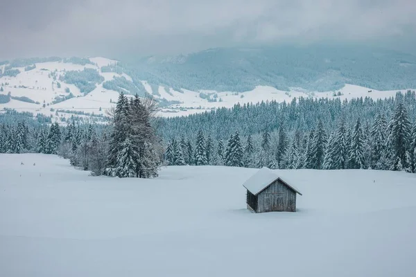 在一个多雾的冬日 雪山斜坡中央的一座山舍 被雪地的森林环绕着 — 图库照片