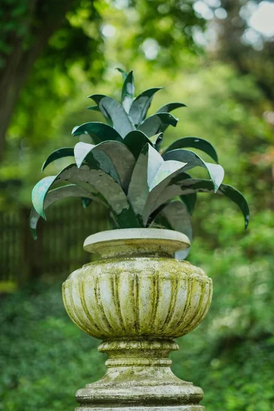 stock image decorative flower pot with metal flower