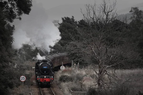 Ağaçların Arasındaki Eğimli Bir Demiryolunda Giden Buharlı Trenin Hava Görüntüsü — Stok fotoğraf