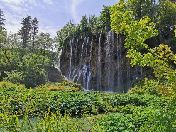 プリトヴィツェ湖国立公園の緑の植物に囲まれた高滝の景勝地 — ストック写真