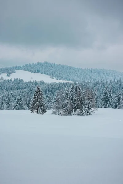 在多云的天空下 雪白的群山覆盖着一片片冰冻的树木 — 图库照片