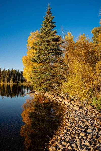 サスカチュワン州プリンスアルバート国立公園の湖の岸にある緑豊かな秋の木 — ストック写真
