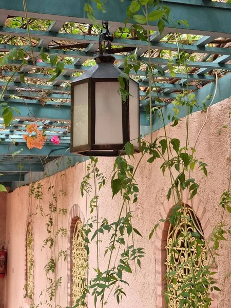 Вертикальный Снимок Лампы Свисающей Потолка Сетки Саду Зелеными Растениями — стоковое фото