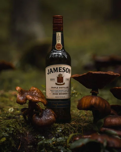 Vertical Closeup Shot Bottle Whiskey Jameson Surrounded Fungus Forest — Stock Photo, Image