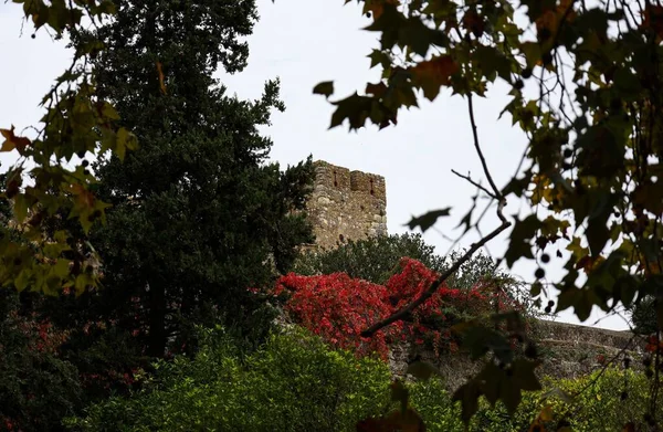 Тамплиерский Замок Томаре Португалия Важно Истории Тамплиеров — стоковое фото