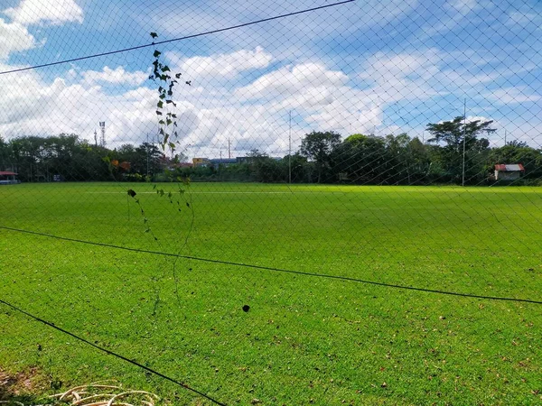 Открытое Поле Крикета Ярким Небом — стоковое фото