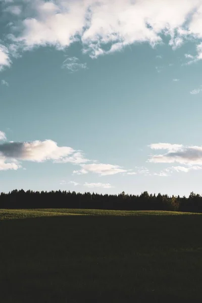 Ландшафт Травянистого Поля Деревьями Озила Норвегия Голубым Небом Крыльях — стоковое фото
