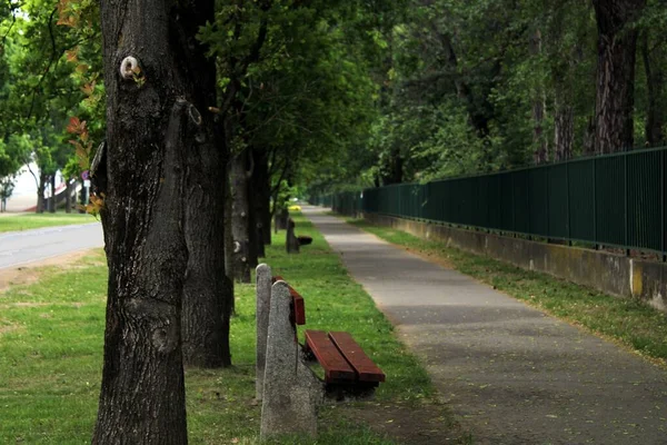緑の公園の通路に沿って木製のベンチの美しいショット — ストック写真