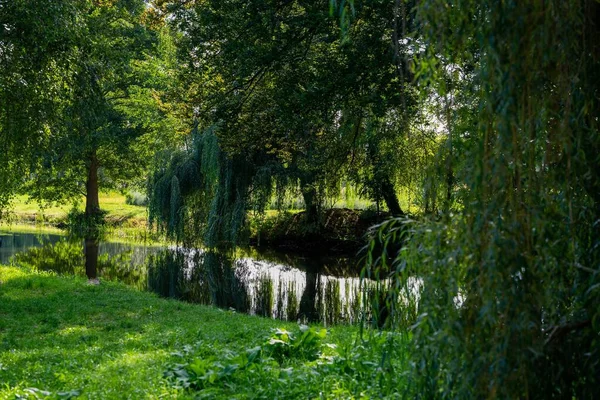 Malebný Pohled Klidné Jezero Odrážející Zelené Stromy Jeho Břehu Sprévovém — Stock fotografie