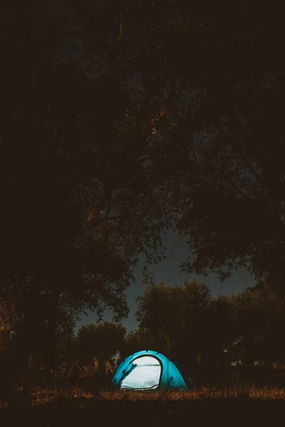 夜の森の中でキャンプテントの垂直ショット — ストック写真