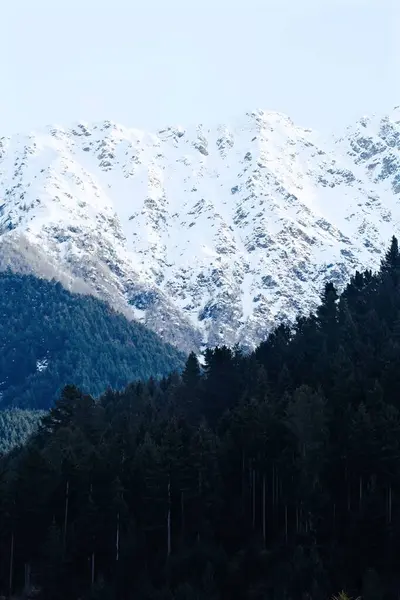Eine Vertikale Aufnahme Von Schneebedeckten Bergen Mit Den Bäumen Vordergrund — Stockfoto