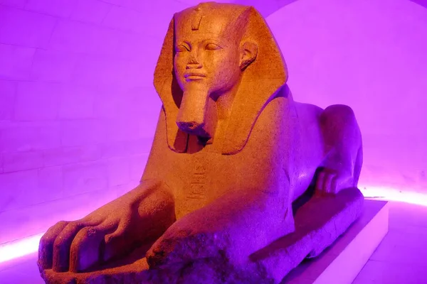 Mor Işıkta Tanis Büyük Sfenksi Louvre Müzesi Paris Fransa — Stok fotoğraf