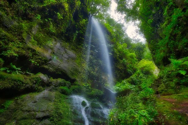 Piękny Krajobraz Wodospadu Lesie — Zdjęcie stockowe