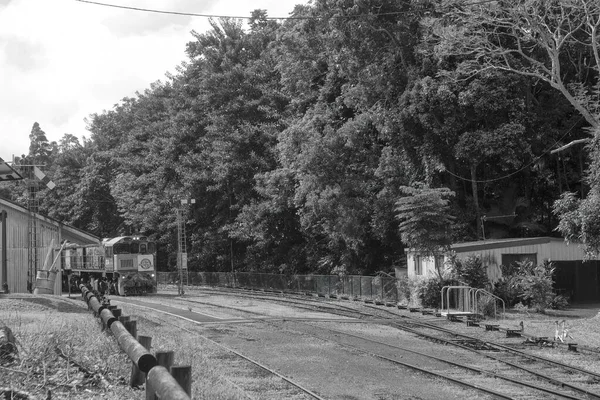 열차는 오스트레일리아 퀸즐랜드주의 케언스로 돌아가고 노선은 1936 년이래 관광객을 — 스톡 사진