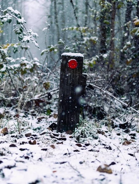 Egy Függőleges Lövés Elhagyott Fából Készült Útoldali Fényvisszaverő Télen — Stock Fotó