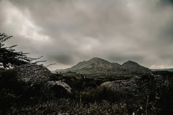 Una Vista Oscura Las Montañas Distancia Las Plantas Oscuridad Bajo —  Fotos de Stock