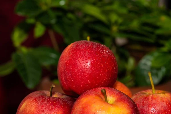 Detailní Záběr Hromadu Vlhké Baculaté Červené Jablka Rozmazané Zelené Pozadí — Stock fotografie
