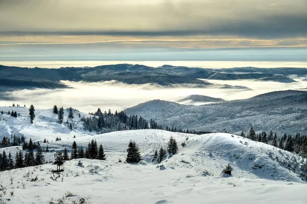 Widok Powietrza Pokrytego Śniegiem Lasu Otoczonego Gęstymi Drzewami Podczas Zachodu — Zdjęcie stockowe