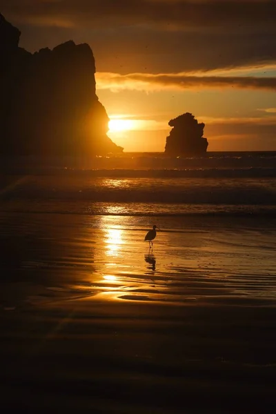 Een Verticaal Shot Van Silhouetten Van Kliffen Een Strand Tijdens — Stockfoto