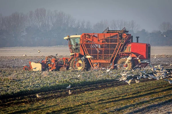 Sisli Bir Günde Tarlada Hasat Yapan Bir Tarım Traktörünün Manzarası — Stok fotoğraf