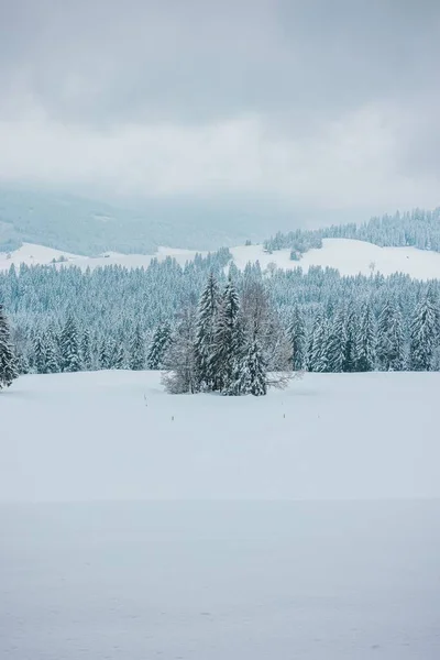안개낀 겨울날 눈덮인 눈덮인 산비탈 — 스톡 사진