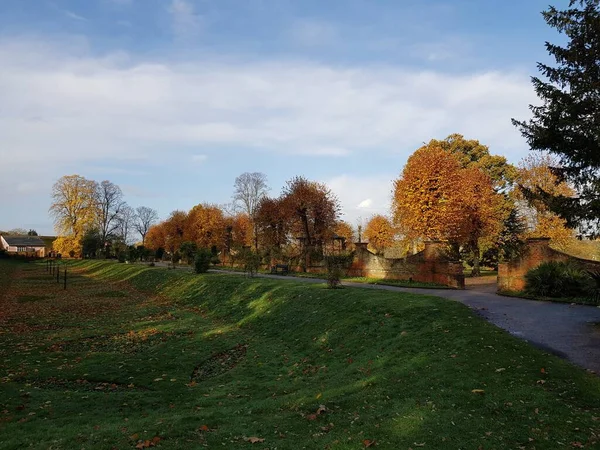 Красивый Осенний Парк Пышными Желтыми Деревьями Дорожкой Травой Покрытой Сухими — стоковое фото