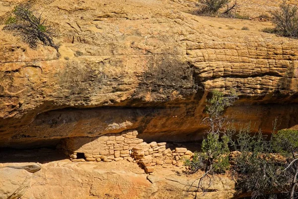 Den Fascinerande Cliff Palace Mesa Verde Nationalpark Med Bevarade Gamla — Stockfoto
