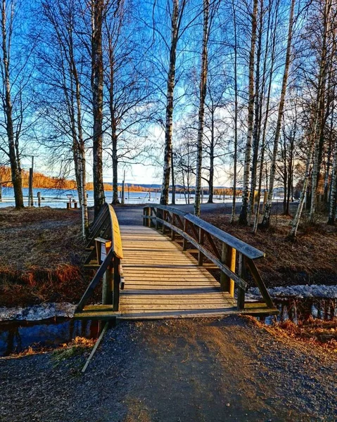 Eine Vertikale Aufnahme Einer Kleinen Holzbrücke Einem Kühlen Frühlingsmorgen — Stockfoto