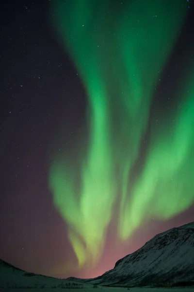 挪威高山上一道明亮的绿色极光的垂直拍摄 — 图库照片
