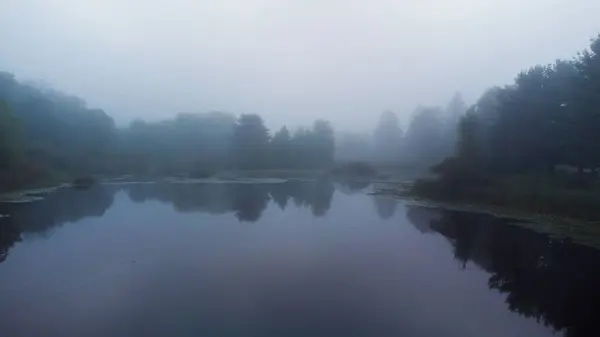 Туманна Сцена Дерев Відображають Водному Озері Вечір — стокове фото