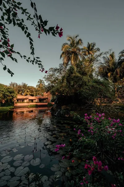 Vertical Shot Tropical Garden Pond Palm Trees Blue Sky — Stock Photo, Image